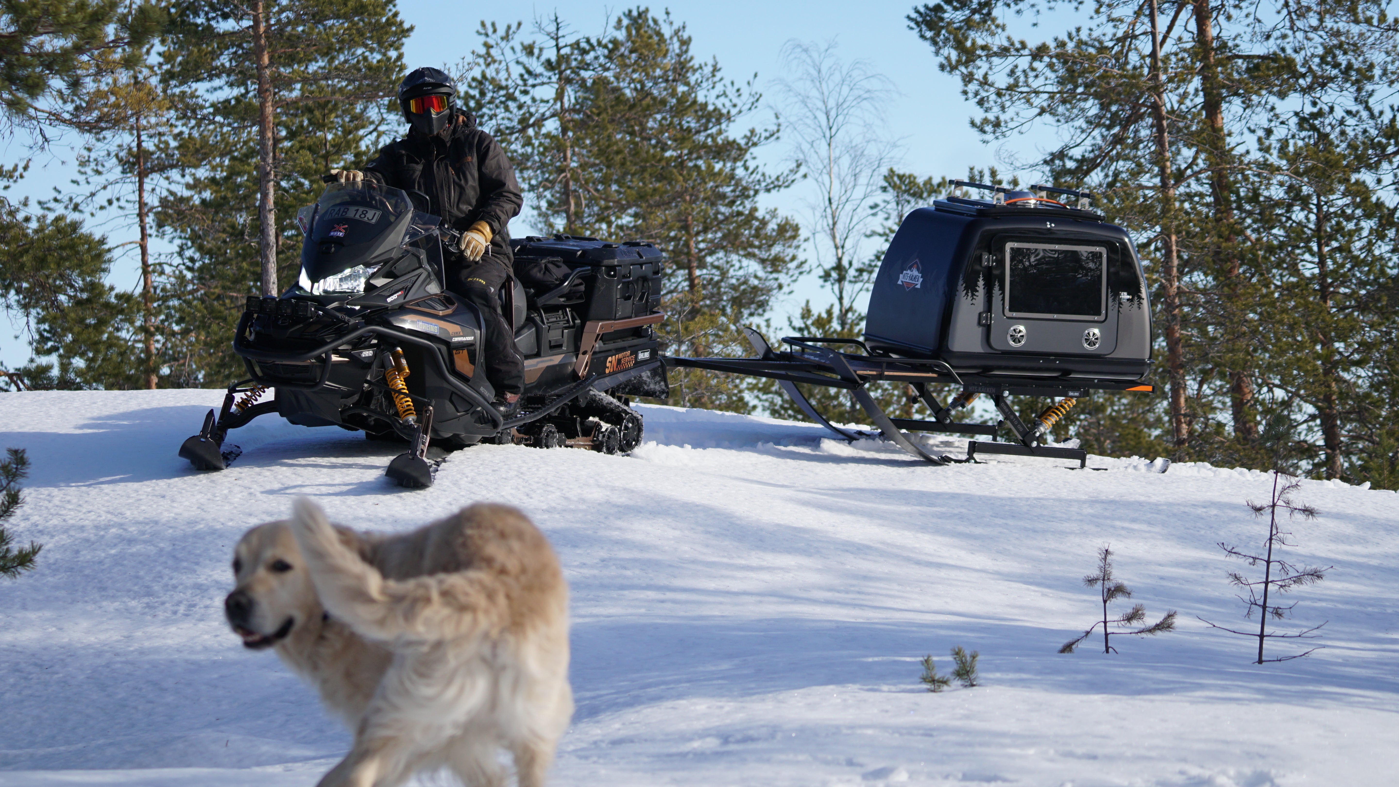 HUNDPULKA FÖR SKOTER, Black series!